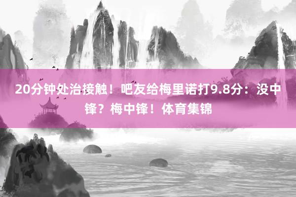 20分钟处治接触！吧友给梅里诺打9.8分：没中锋？梅中锋！体育集锦