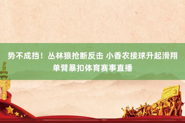 势不成挡！丛林狼抢断反击 小香农接球升起滑翔单臂暴扣体育赛事直播