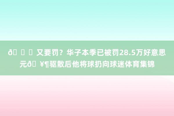 💀又要罚？华子本季已被罚28.5万好意思元🥶驱散后他将球扔向球迷体育集锦