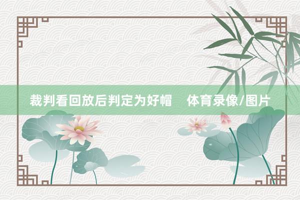 裁判看回放后判定为好帽    体育录像/图片