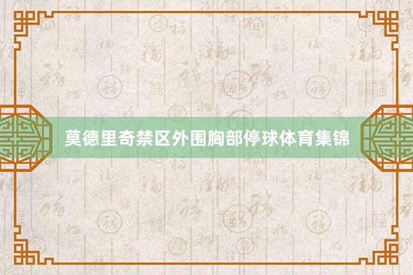 莫德里奇禁区外围胸部停球体育集锦