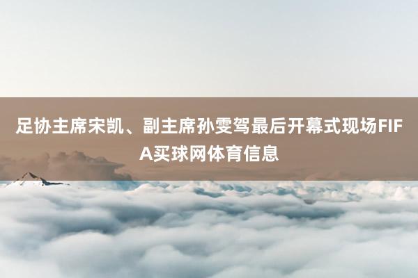 足协主席宋凯、副主席孙雯驾最后开幕式现场FIFA买球网体育信息