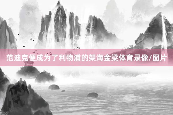 范迪克便成为了利物浦的架海金梁体育录像/图片